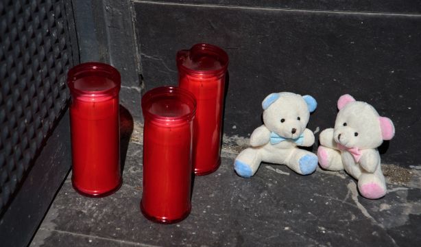 rosa y peluche