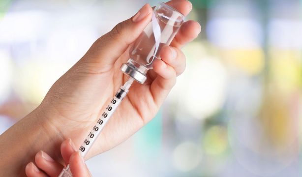 Un paté enriquecido con silicio muestra potencial para prevenir la diabetes