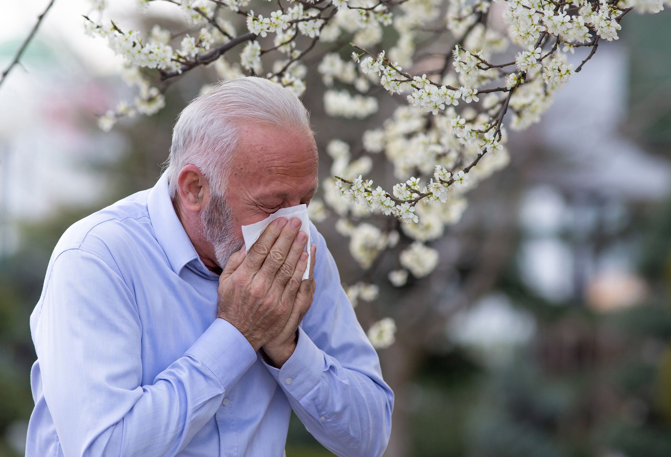 Las peores horas del día para los alérgicos al polen. BigStock