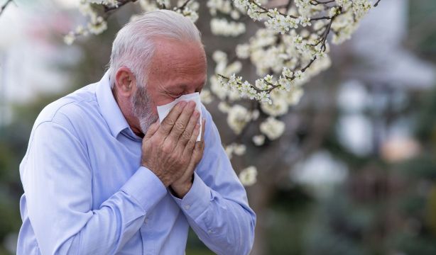 Las alergias al polen pueden agravarse esta primavera por las lluvias registradas