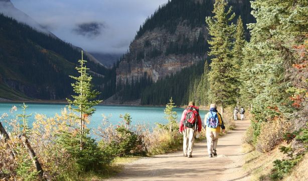 5 razones científicas para andar a diario