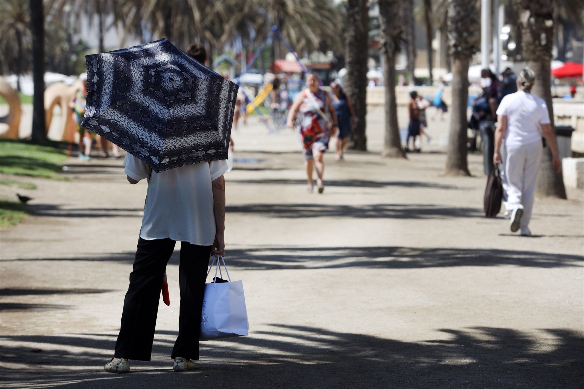 El cambio climático es un factor de riesgo para los problemas de salud mental (Europa Press)