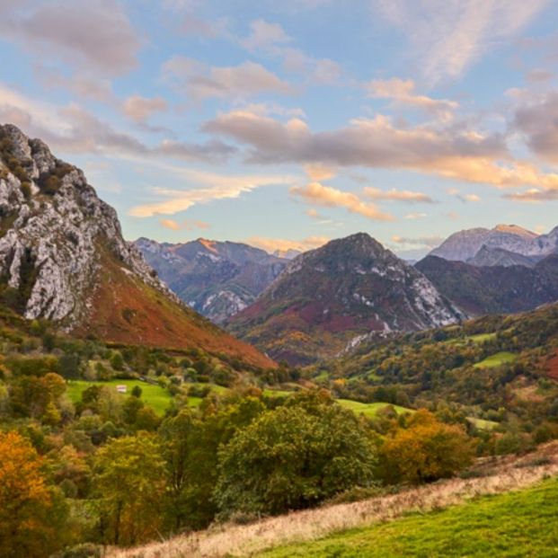 Recorriendo el Parque Natural de Ponga en Asturias