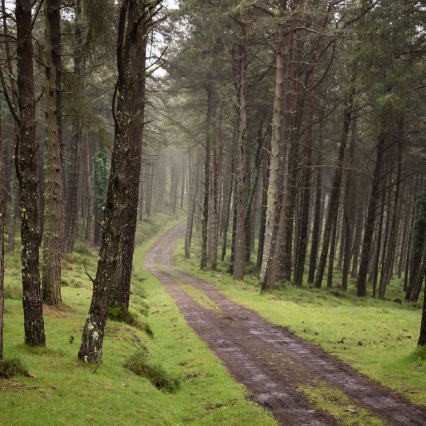 Recorriendo el Parque Natural de Ponga en Asturias