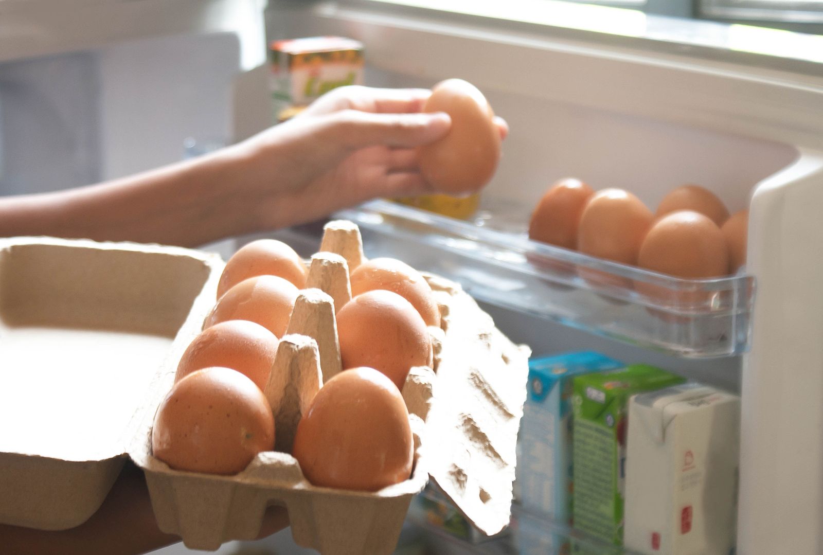 ¿Por qué no debemos guardar los huevos en la puerta de la nevera?