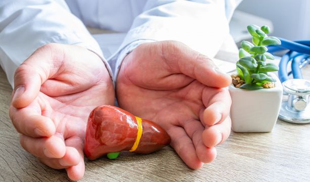 Este viernes se celebra por primera vez el Día Mundial del Hígado