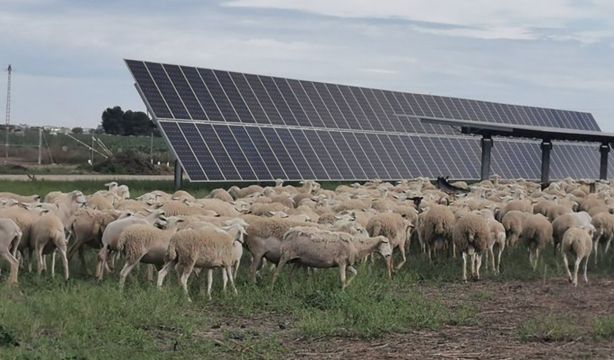 UNEF pide seguir apostando por I+D+I para alcanzar los objetivos de descarbonización