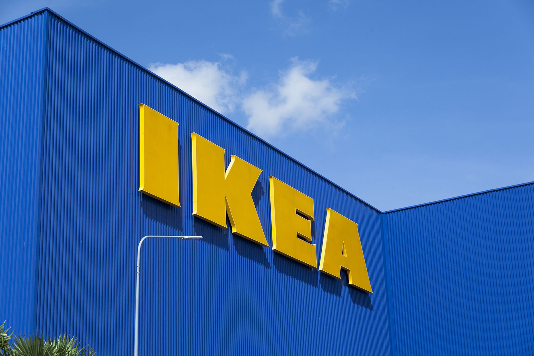 IKEA y la SENC estudian la actividad del cerebro expuesto al color para poder aplicarlo al hogar