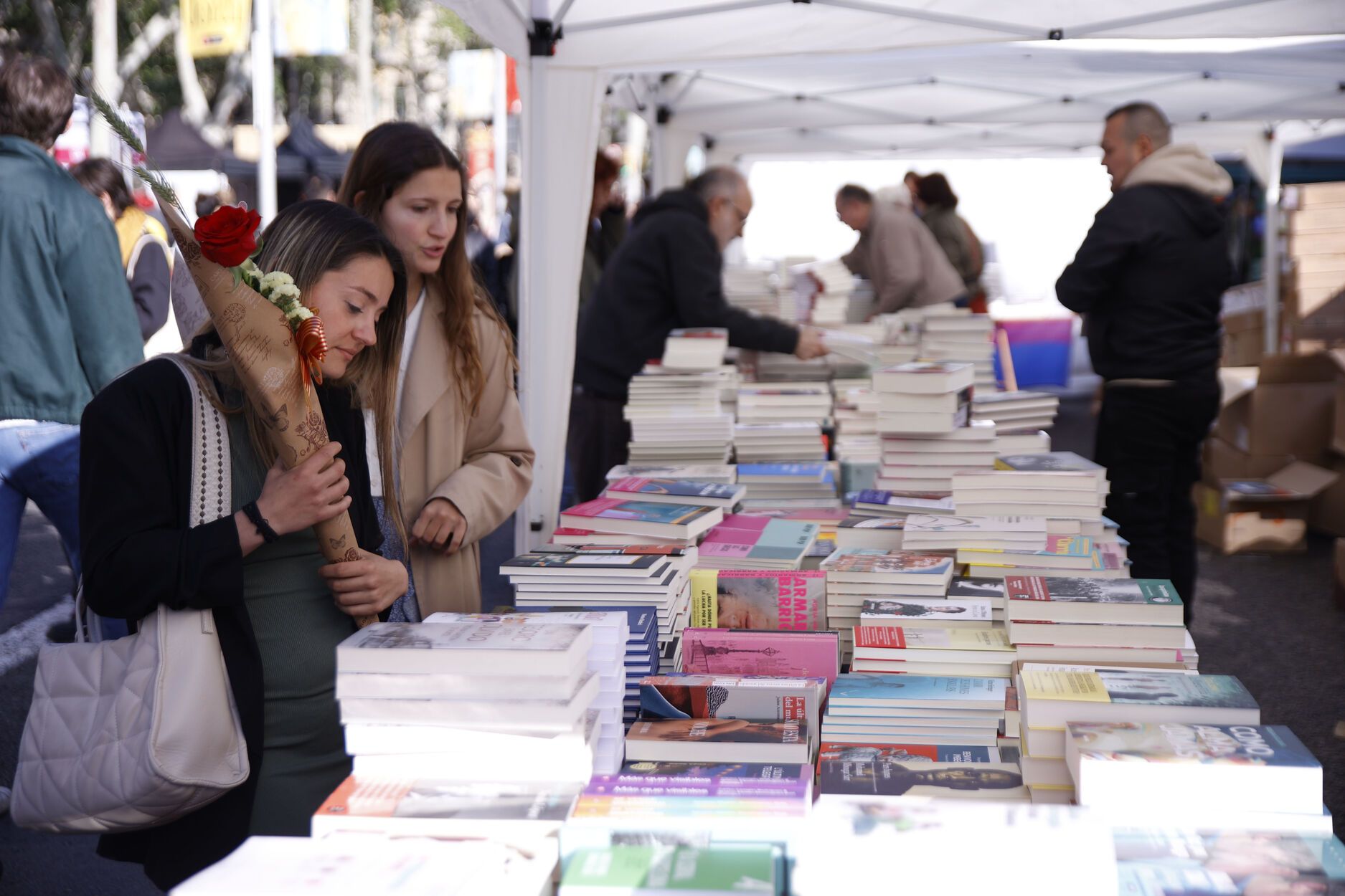 Estos son los libros más vendidos en Sant Jordi 2024