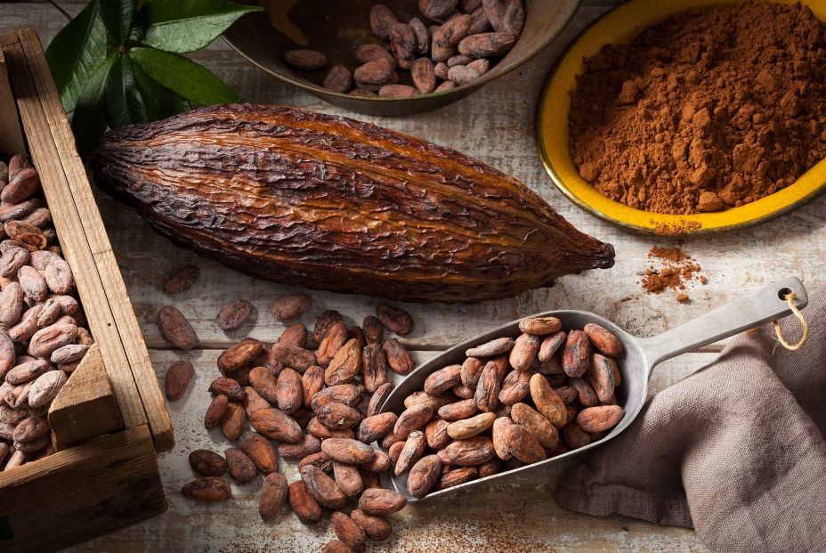 Utilizan patrones matemáticos para salvar la producción mundial de chocolate (Big Stock)