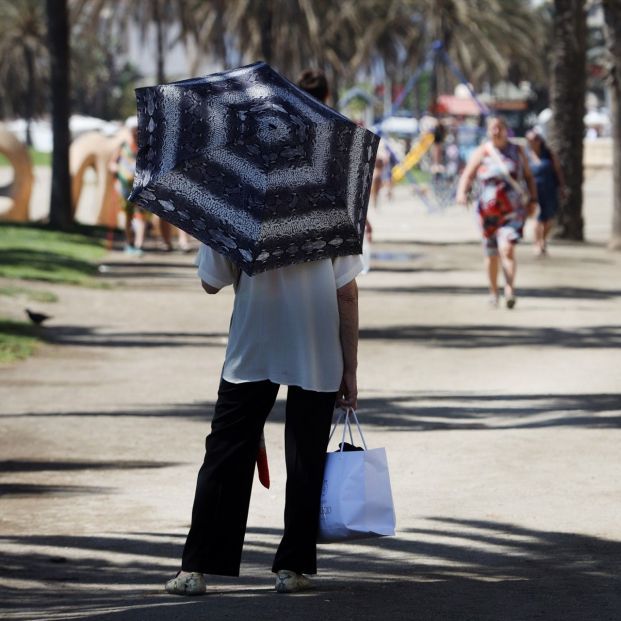 El cambio climático multiplica la amenaza causada por la resistencia a los antimicrobianos (Europa Press)