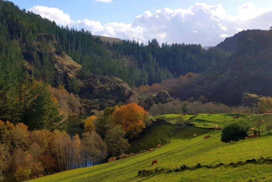 El pueblo asturiano que se ha convertido en la Capital del Turismo Rural 2024 (Europa Press)