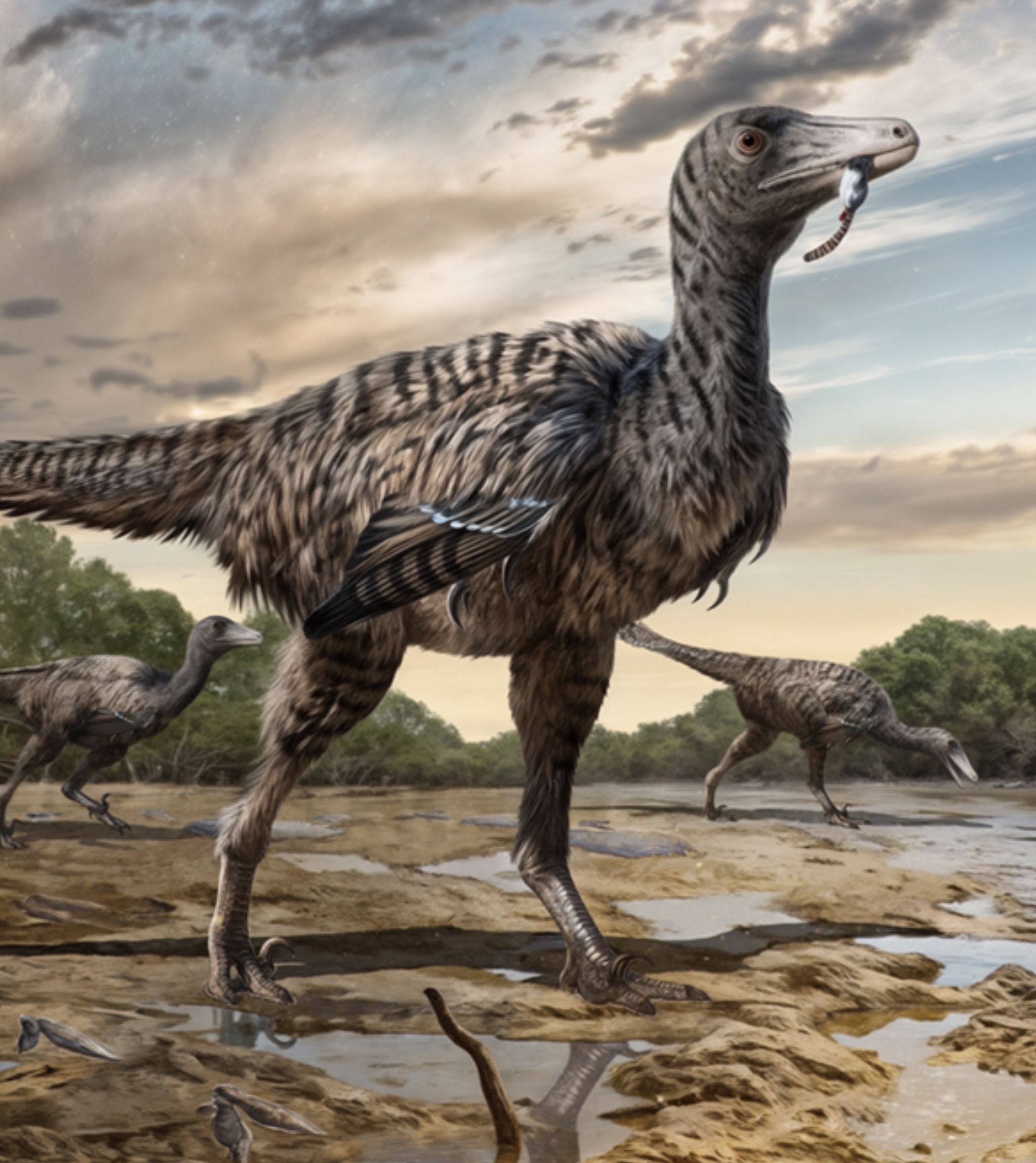 Hallan huellas de un velociraptor gigante de cinco metros 