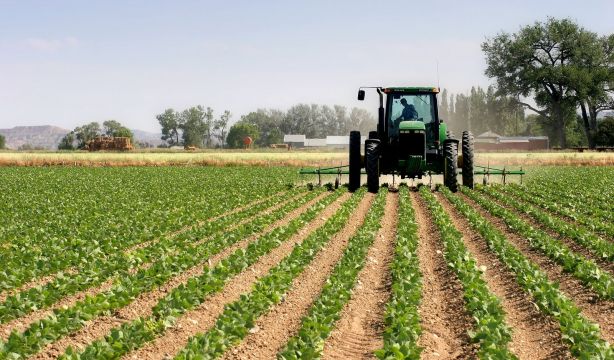 España ya ha agotado todos los recursos naturales que le correspondían para 2024