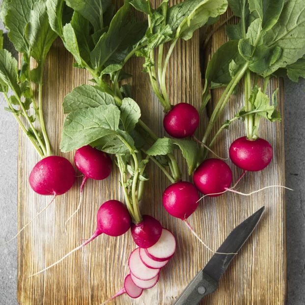 Descubre las verduras con mayor aporte de agua