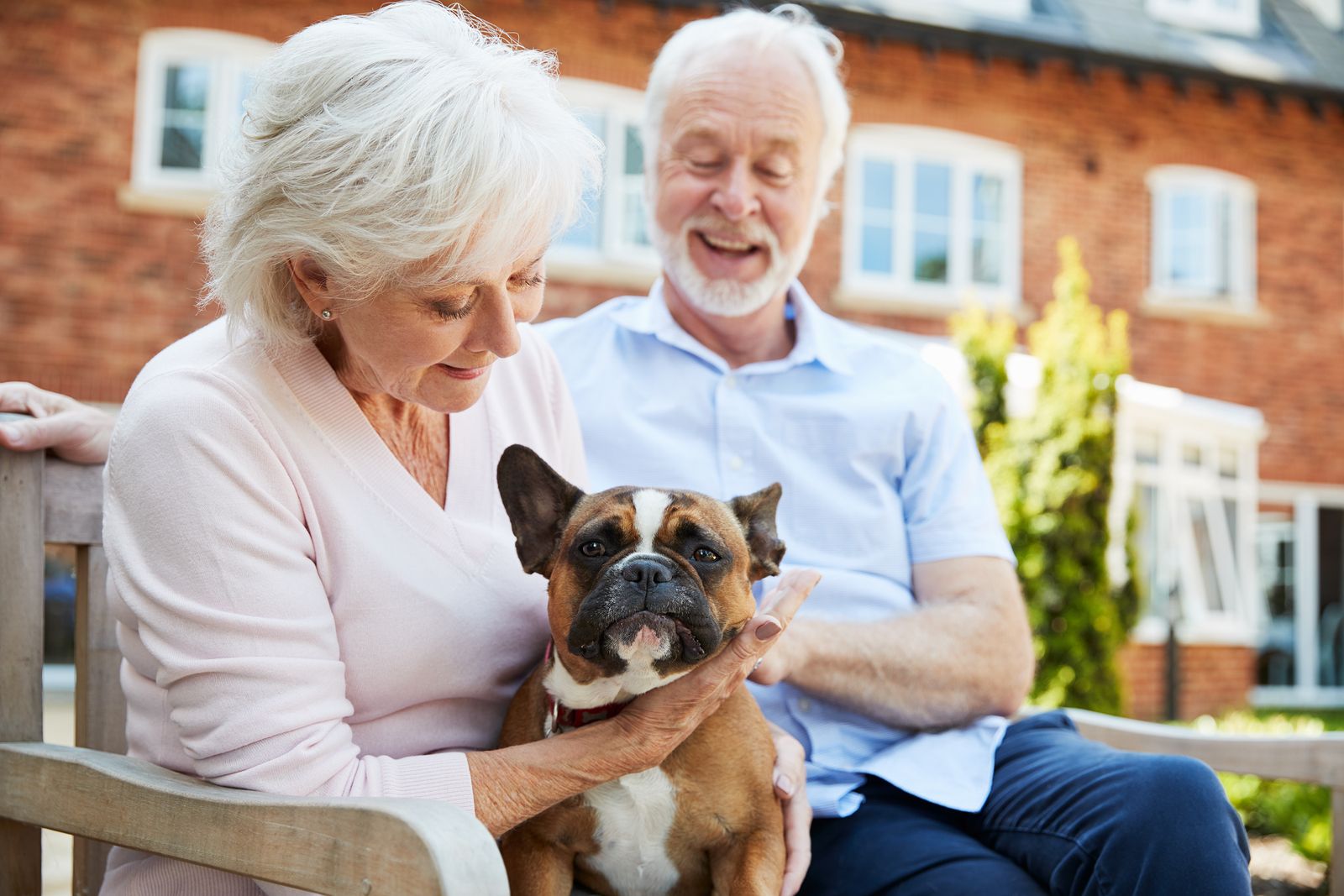 ¿Sabes qué son los perros braquicéfalos?