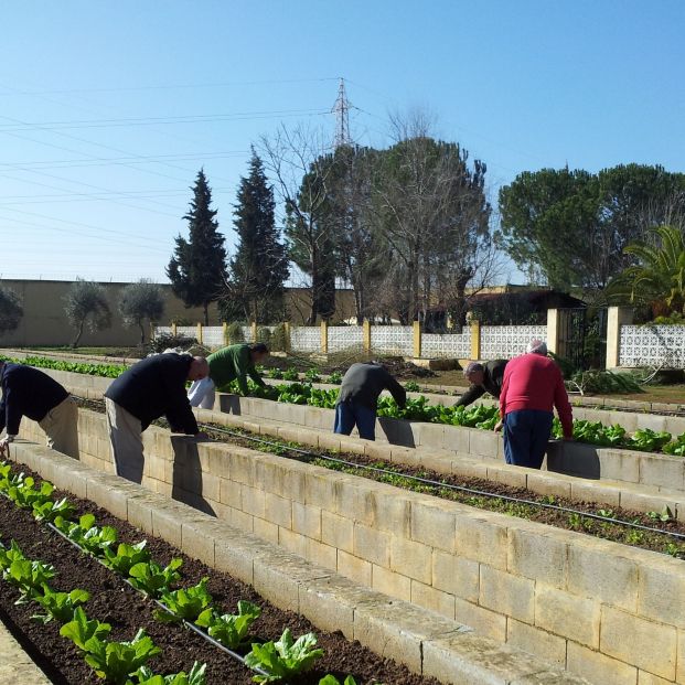 Mayores presos en un taller de jardinería en el Centro Sevila I. 