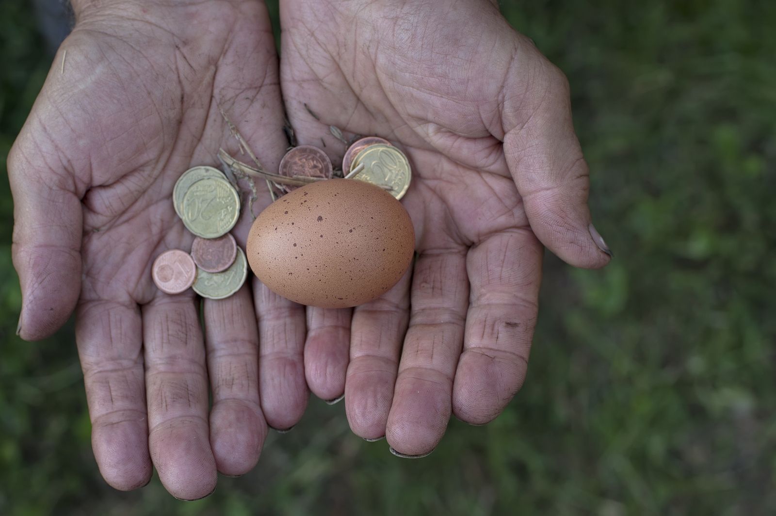 El nuevo repunte de la inflación en mayo 'obliga' al Gobierno a prorrogar el IVA reducido de los alimentos