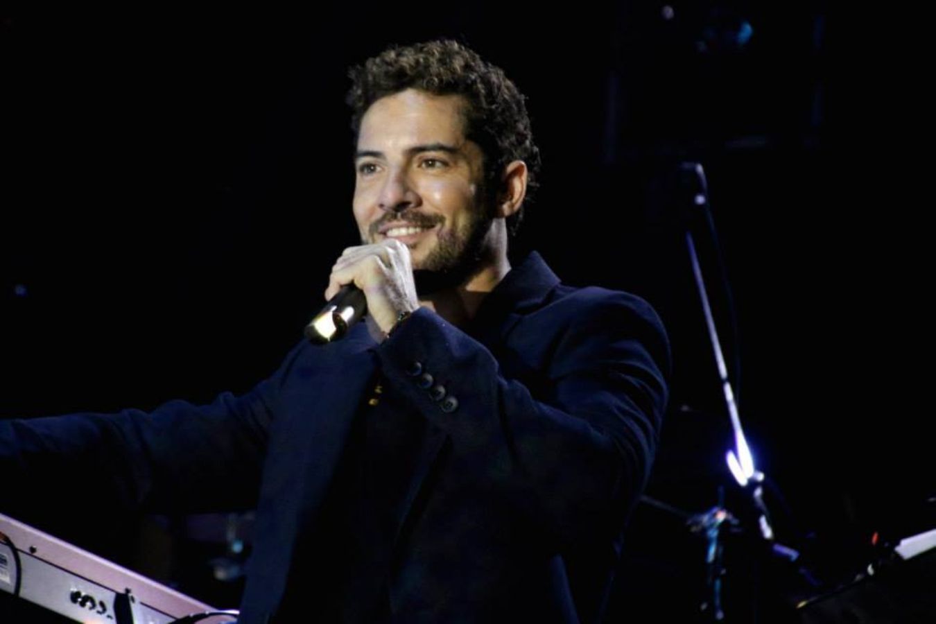 David Bisbal en concierto