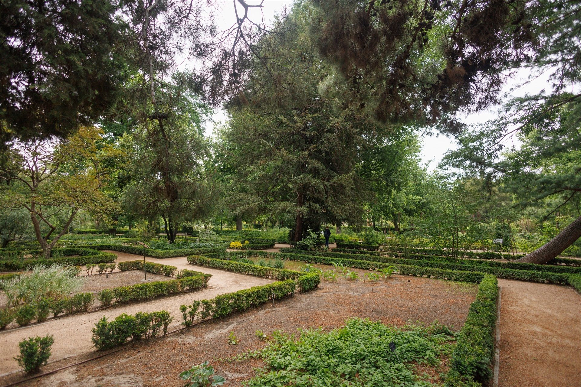 El Real Jardín Botánico se sumerge en la cultura agraria de Al-Ándalus: visitas guiadas en junio (Europa Press) El Real Jardín Botánico se sumerge en la cultura agraria de Al-Ándalus: visitas guiadas en junio (Europa Press)