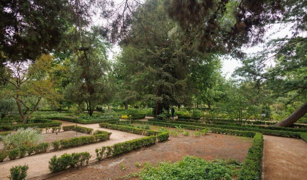 El Real Jardín Botánico se sumerge en la cultura agraria de Al-Ándalus: visitas guiadas en junio (Europa Press)