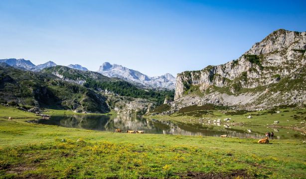 Guía para visitar Covadonga, sus lagos y alrededores (Bigstock)