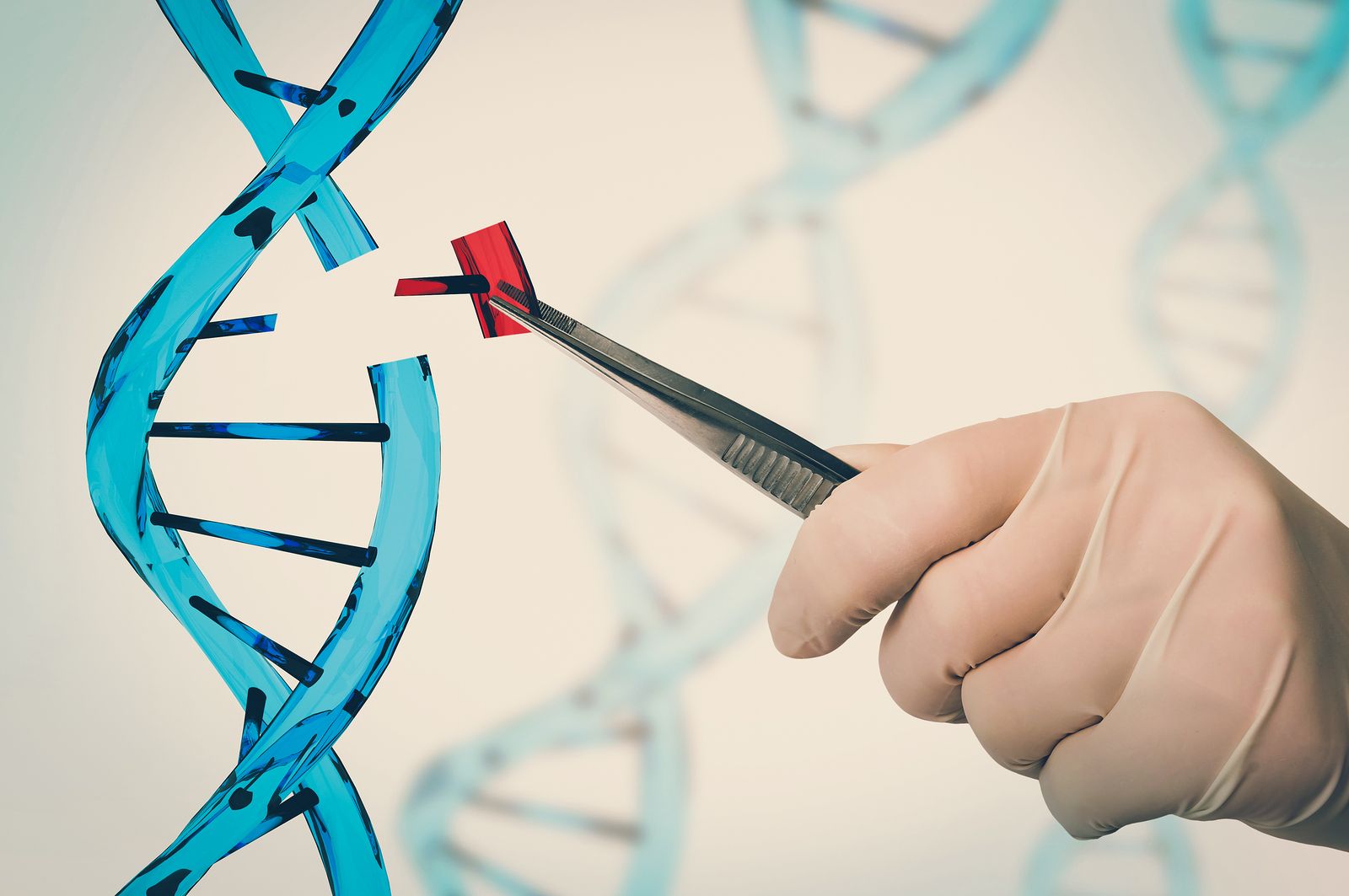 Qué es la edición genética? Principales avances