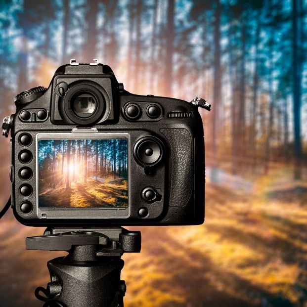 Consigue capturar las mejores fotografías con estos consejos (big stock)