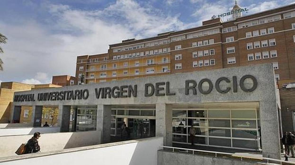 virgen rocio