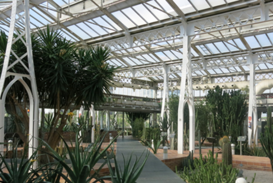Descubre el Palacio de Cristal de Arganzuela y su invernadero (Turismo Madrid) Descubre el Palacio de Cristal de Arganzuela y su invernadero (Turismo Madrid)