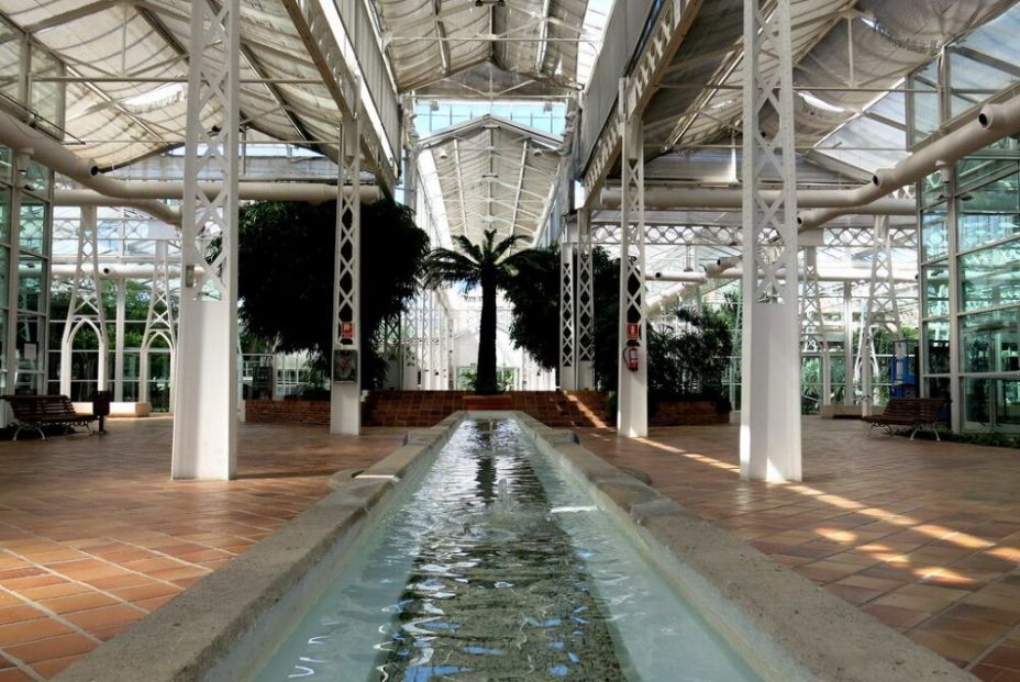 Descubre el Palacio de Cristal de Arganzuela y su invernadero Descubre el Palacio de Cristal de Arganzuela y su invernadero