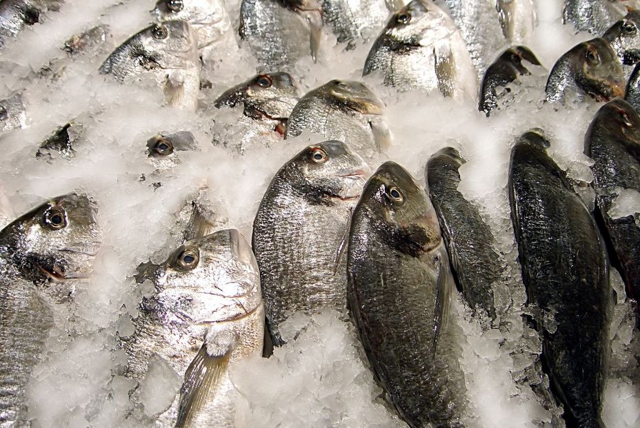 Estos son los tres pescados que los expertos recomiendan no consumir Estos son los tres pescados que los expertos recomiendan no consumir