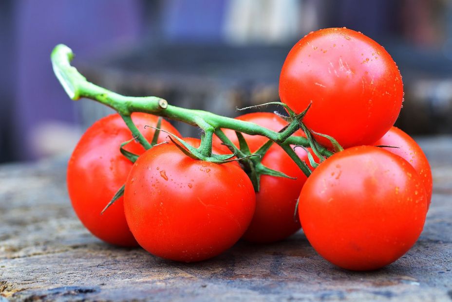 El truco viral para cortar muchos tomates cherry a la vez (Bigstock) El truco viral para cortar muchos tomates cherry a la vez (Bigstock)