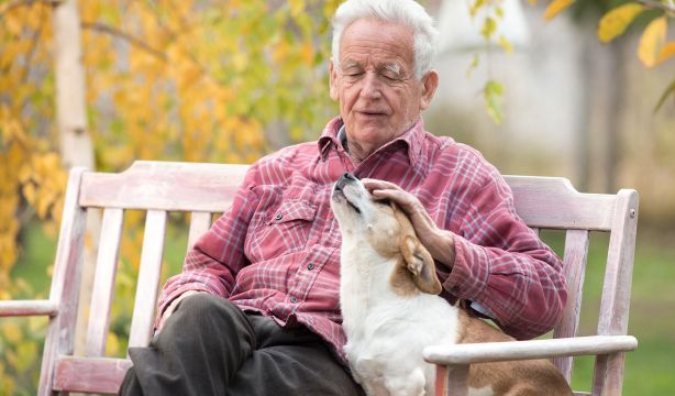 Descubre todo lo que una mascota puede hacer por tu salud mental y física