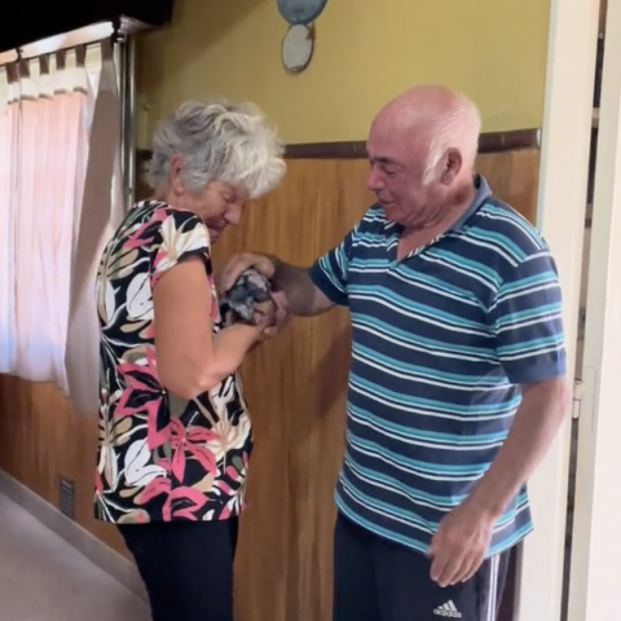 sorpresa abuelos perdieron mascota sorpresa abuelos perdieron mascota