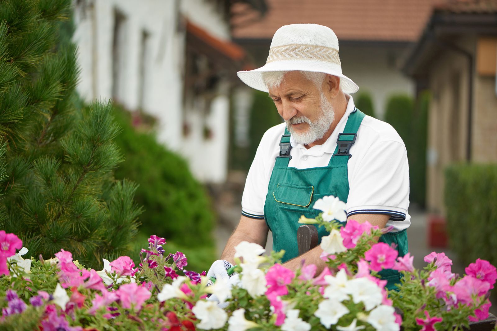 ¿Sabías que la harina de huesos hará que tus plantas estén perfectas?