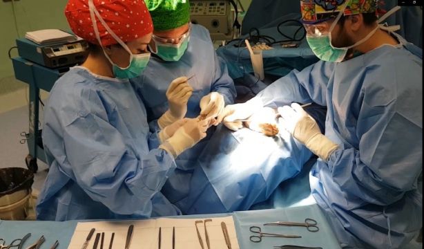 La atención sanitaria basada en valor, posible vía para resolver el debate sobre la externalización