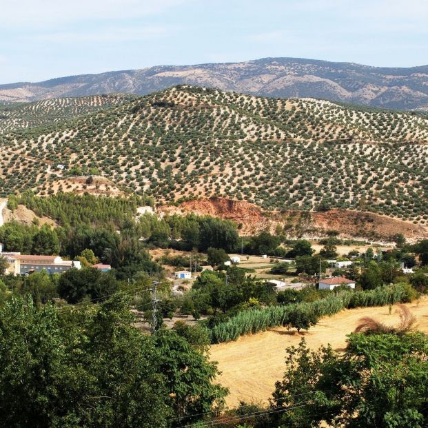 Desalojan una residencia de mayores de Córdoba 