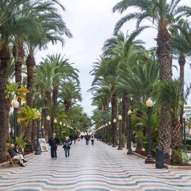 paseo marítimo Alicante