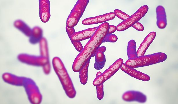 Un 'imán' contra los nanoplásticos: así limpia el kimchi tu organismo