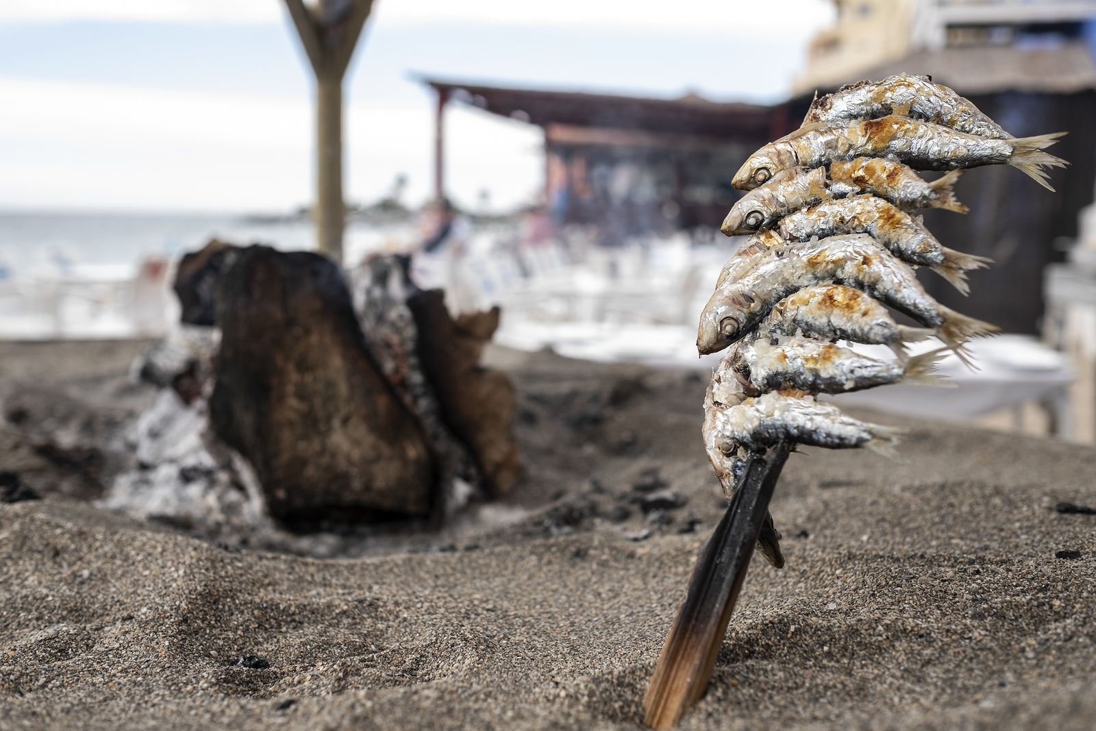 Tres opciones para saborear unos buenos espetos de sardinas en Málaga