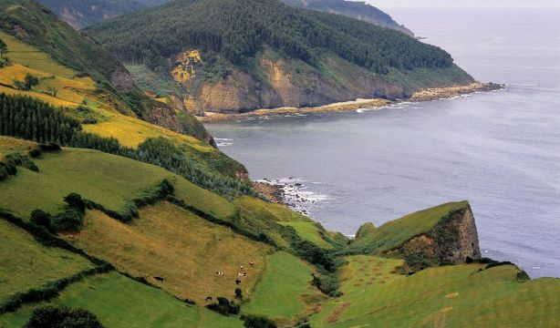 Las mejores rutas de senderismo de Asturias (Bigstock)