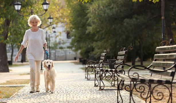 Estas son las horas en las que no deberías sacar a tu perro a pasear