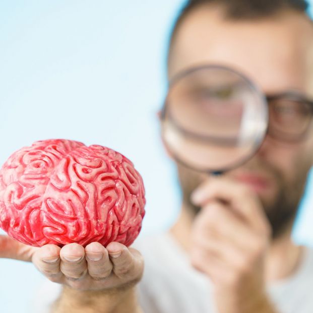 La neurogastronomía La neurogastronomía