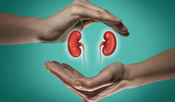 Los últimos avances frente al cáncer de riñón