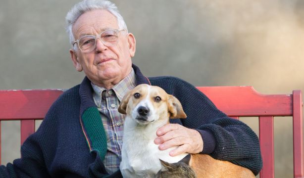 La Comunidad Valencia dará subvenciones para el cuidado de mascotas de personas mayores