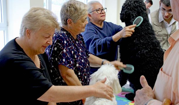 El Hospital Universitario de Torrejón reactiva la terapia con animales para mayores con depresión