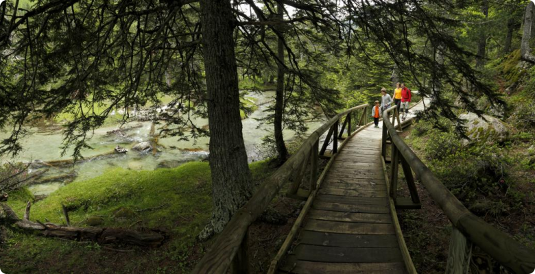 Parque Nacional Aigüestortes i Estany de San Mauricio