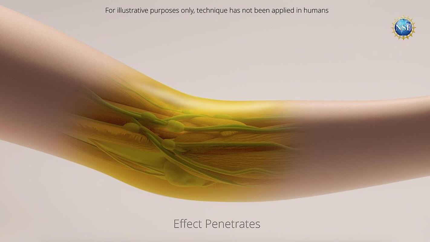 Logran crear un tinte que convierte en transparente la piel Logran crear un tinte que convierte en transparente la piel