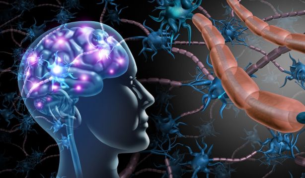 Descubren que el aumento de una proteína puede ayudar a retrasar el alzhéimer
